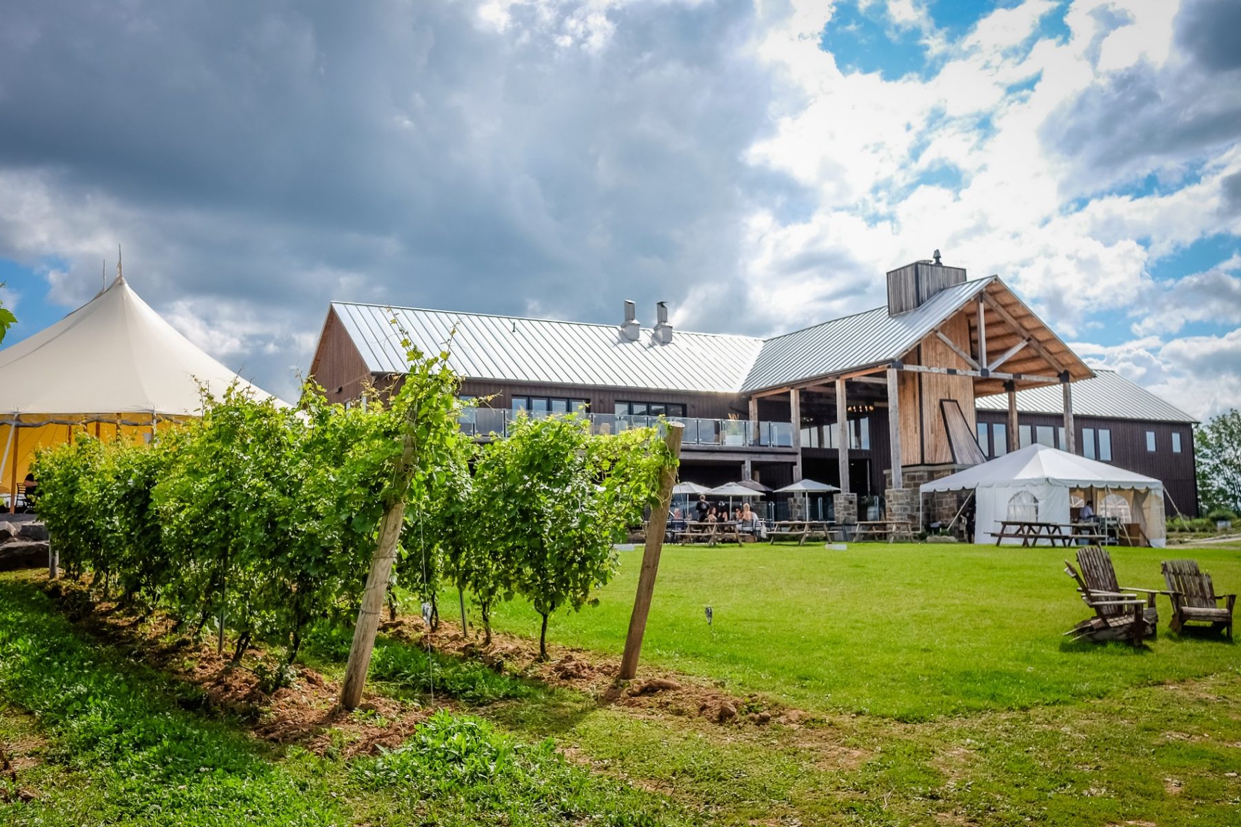 Vineyard winery venue exterior with timber barn, sailcloth tent, and grapevines
